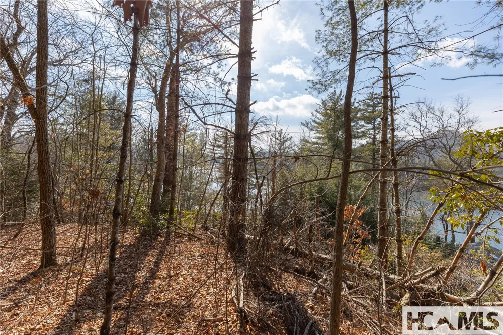 B&C Knob Hill Road Glenville, NC 28736