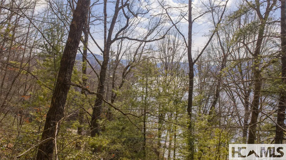 B&C Knob Hill Road Glenville, NC 28736