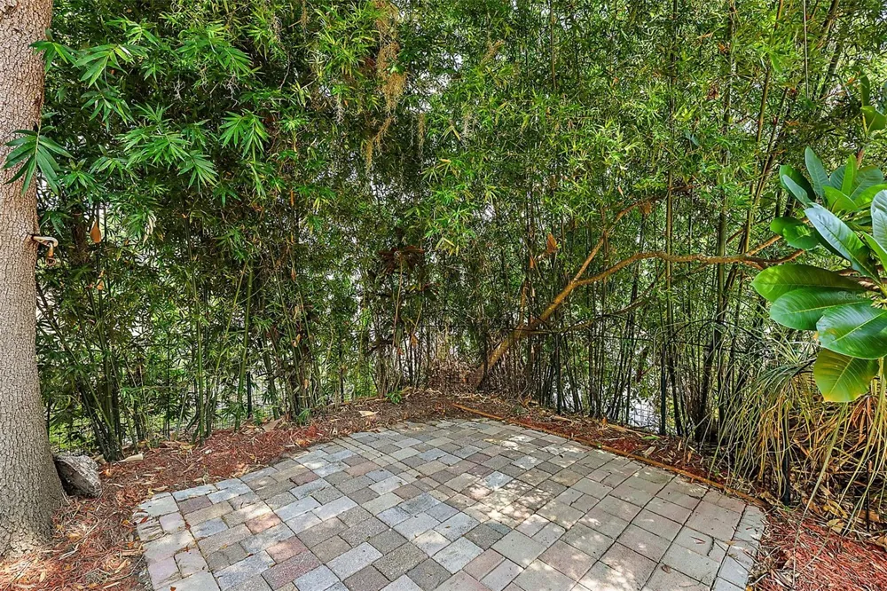 507 LAKESHORE DRIVE Eustis, FL 32726