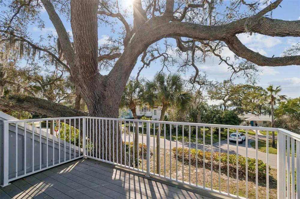 600 MAYO STREET Crystal Beach, FL 34681