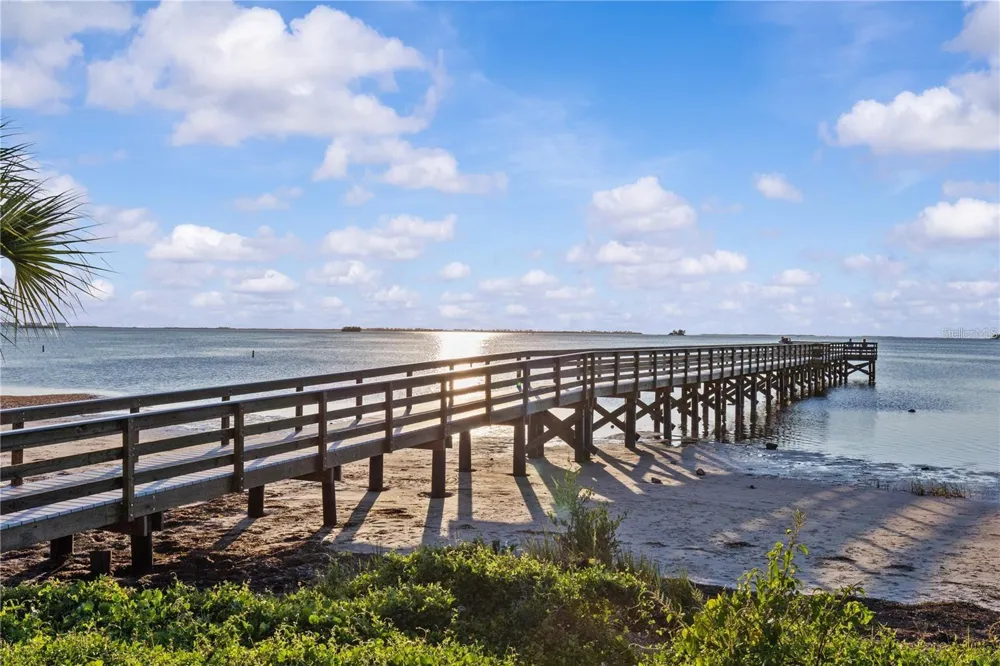 600 MAYO STREET Crystal Beach, FL 34681