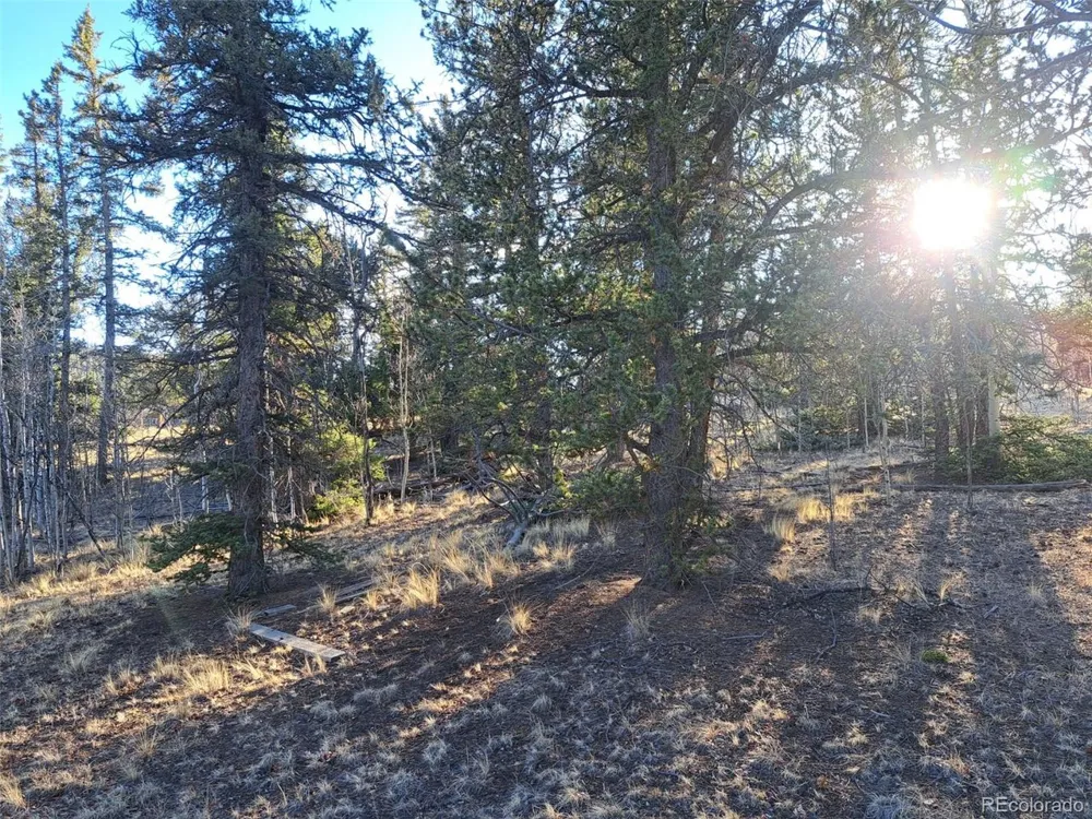 1645 Chippewa Road Como, CO 80432