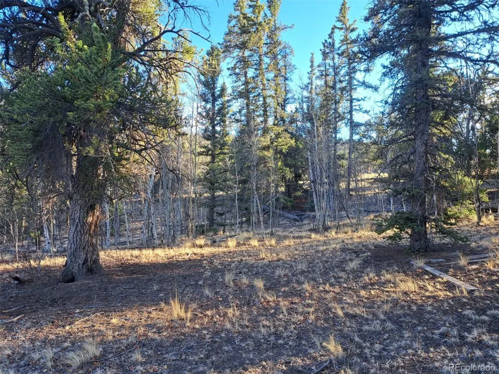1645 Chippewa Road Como, CO 80432