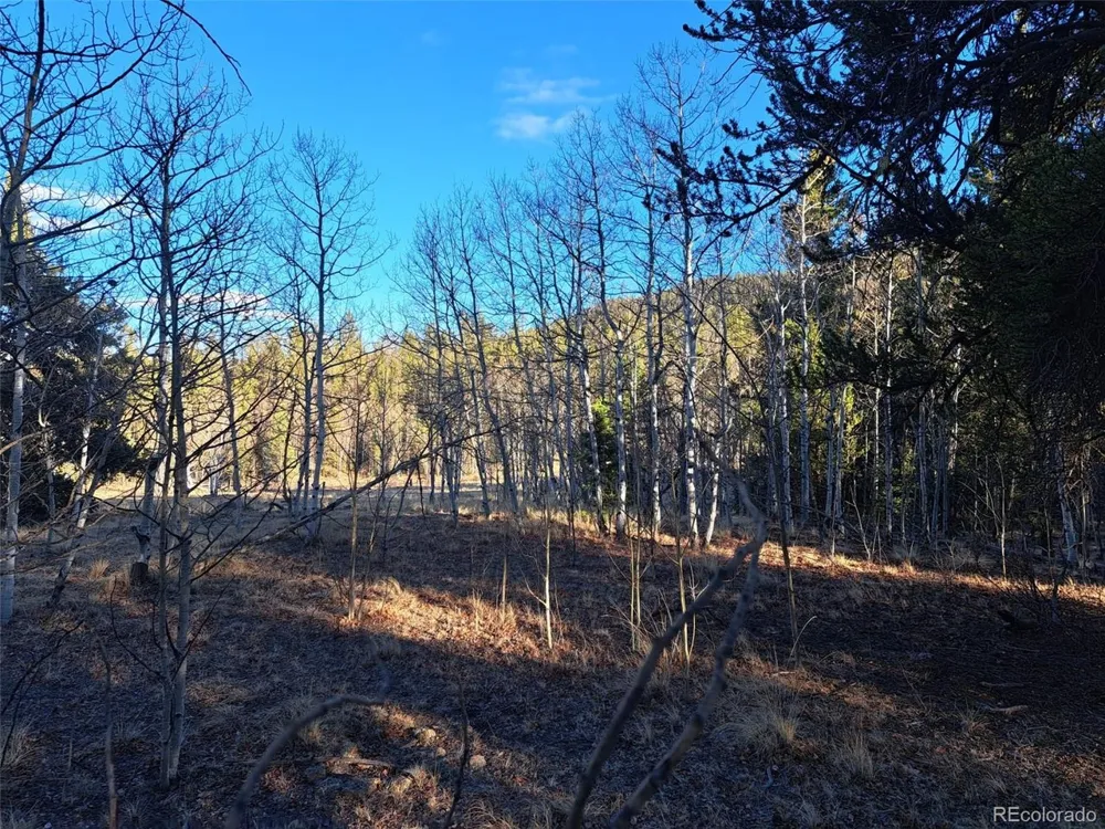 1645 Chippewa Road Como, CO 80432