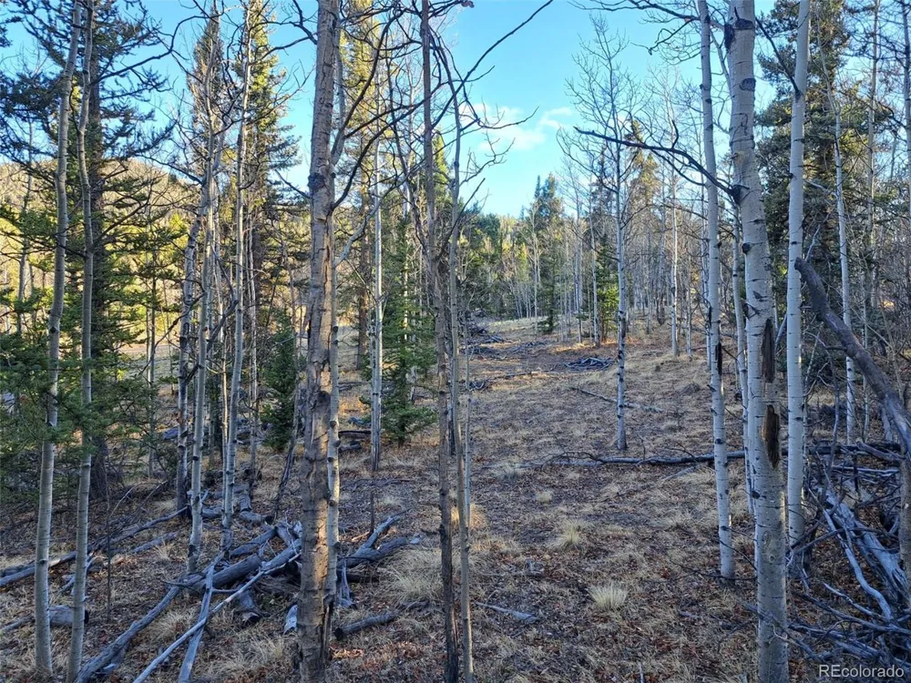 1645 Chippewa Road Como, CO 80432