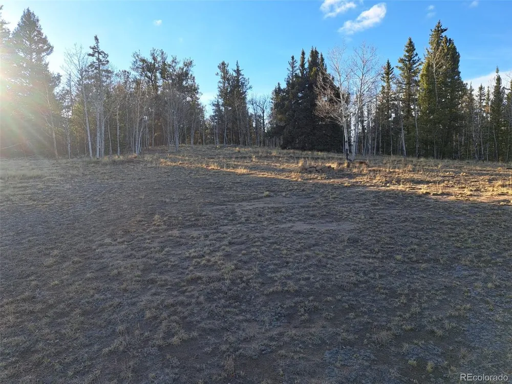 1645 Chippewa Road Como, CO 80432