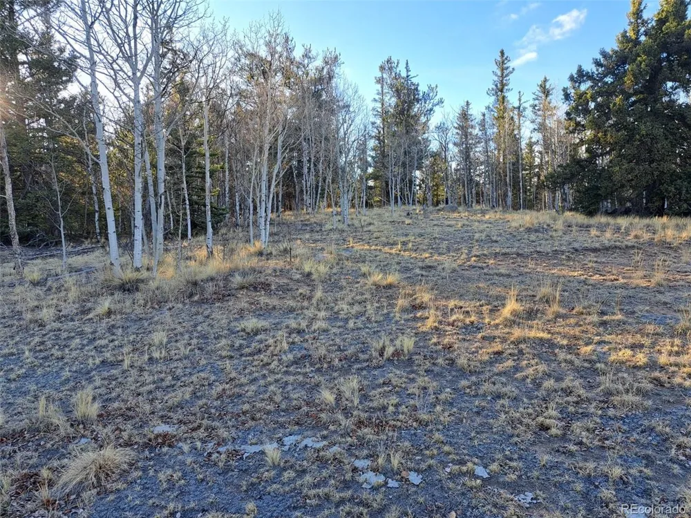 1645 Chippewa Road Como, CO 80432