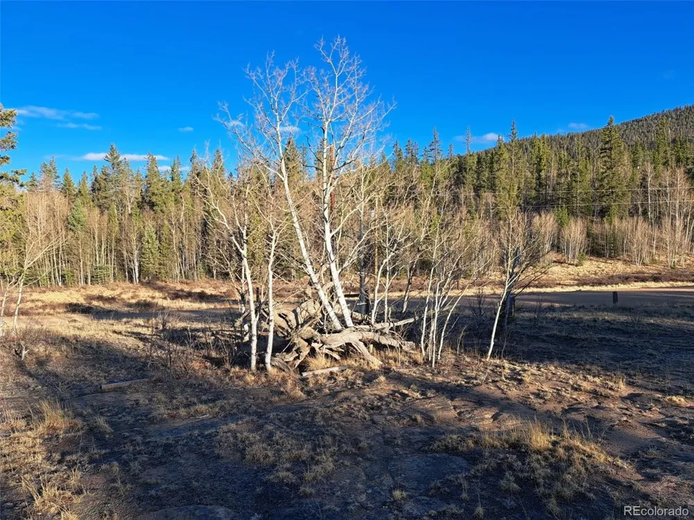 1645 Chippewa Road Como, CO 80432