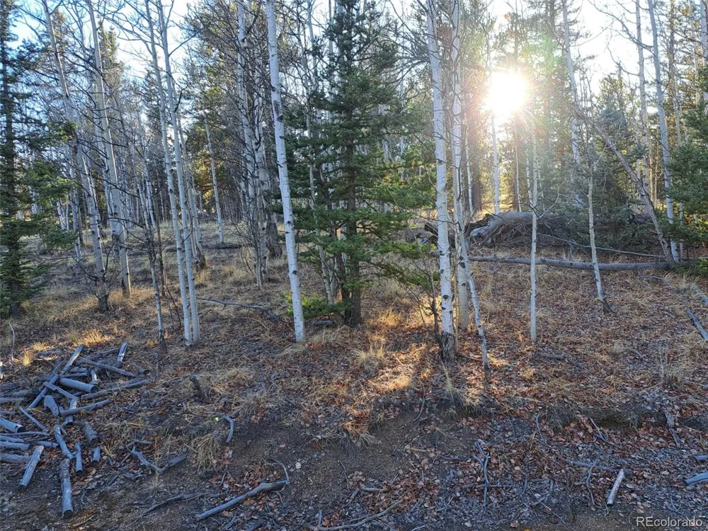 1645 Chippewa Road Como, CO 80432