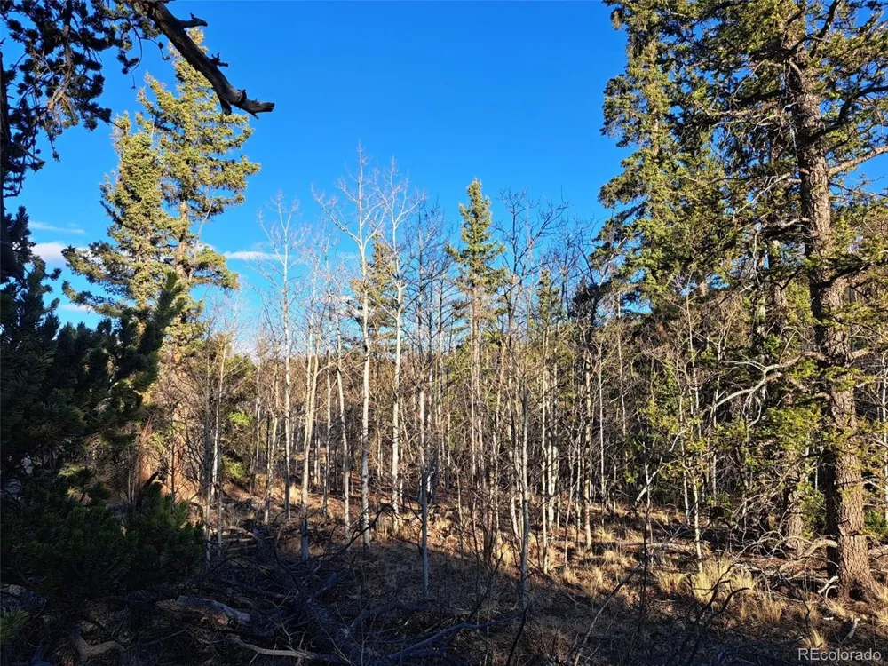 1645 Chippewa Road Como, CO 80432