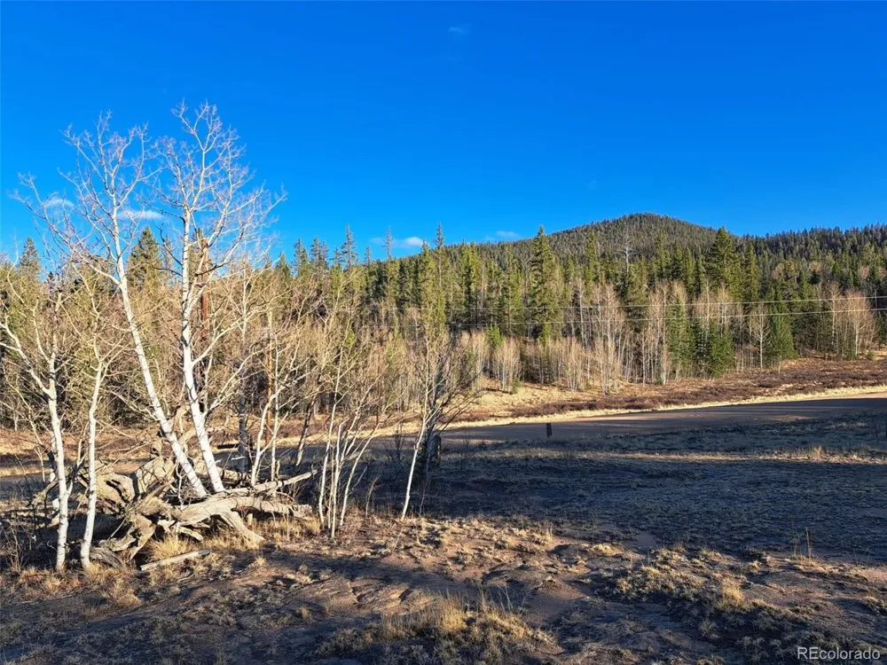 1645 Chippewa Road Como, CO 80432