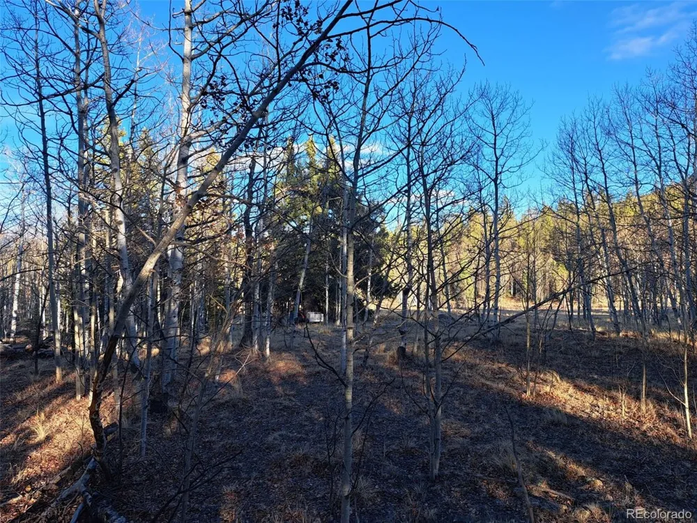 1645 Chippewa Road Como, CO 80432