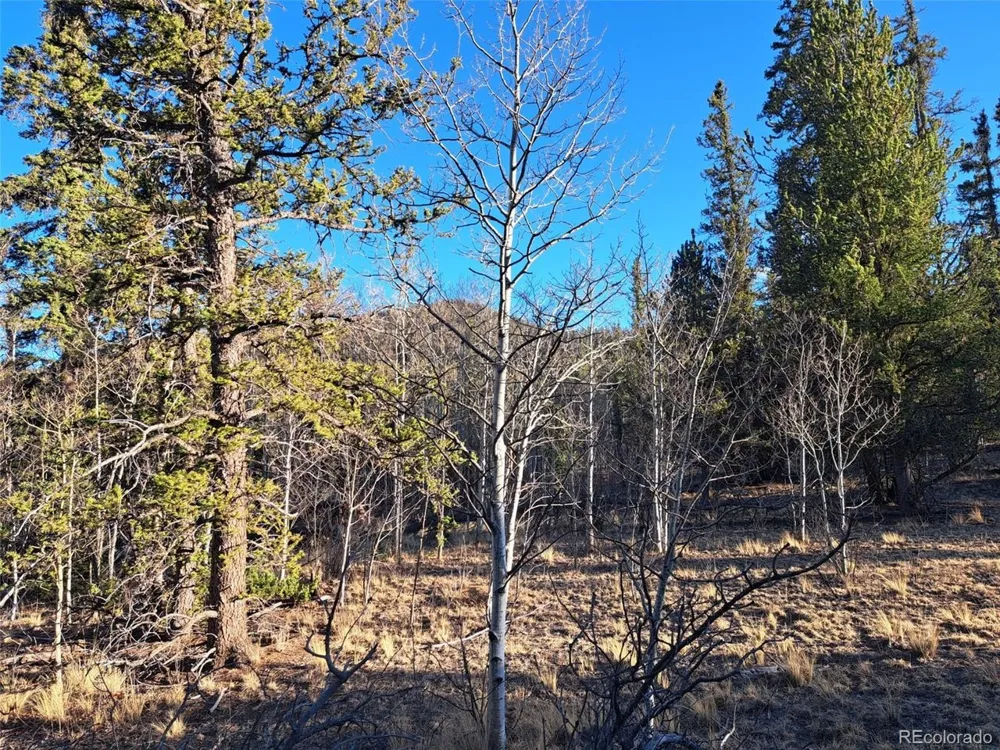 1645 Chippewa Road Como, CO 80432