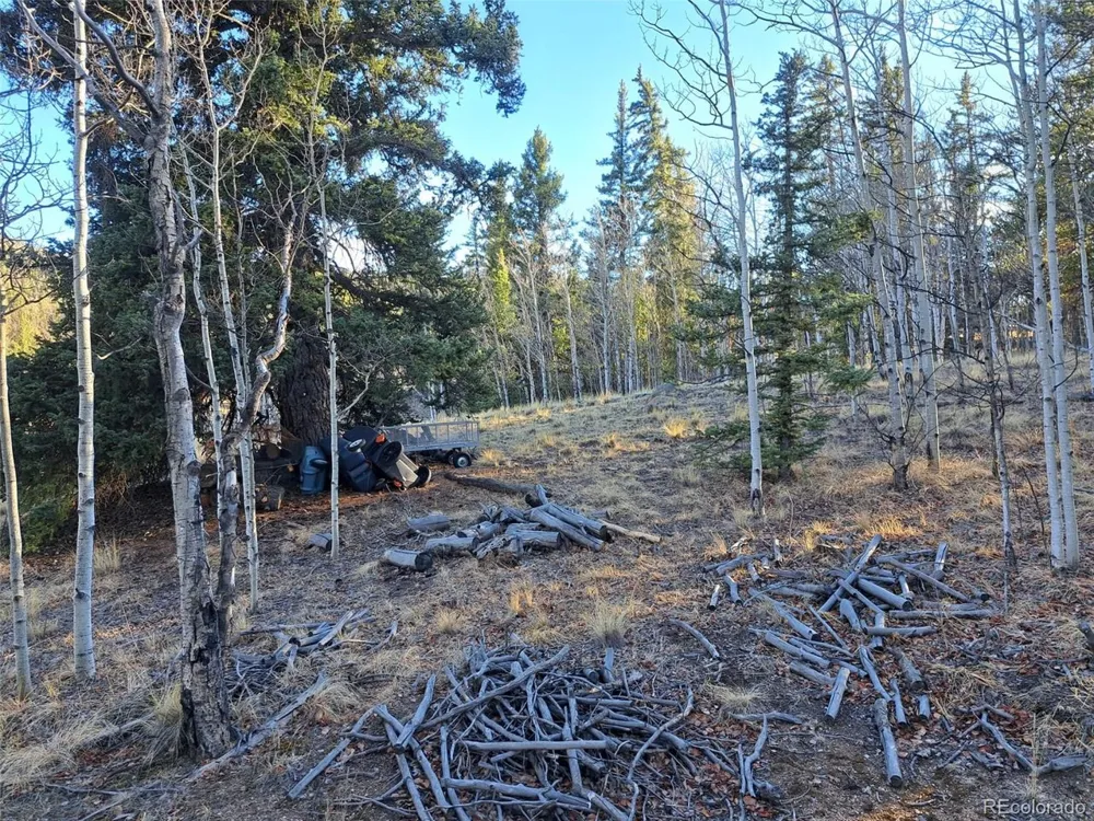 1645 Chippewa Road Como, CO 80432