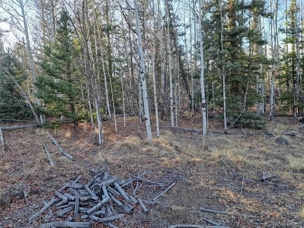 1645 Chippewa Road Como, CO 80432