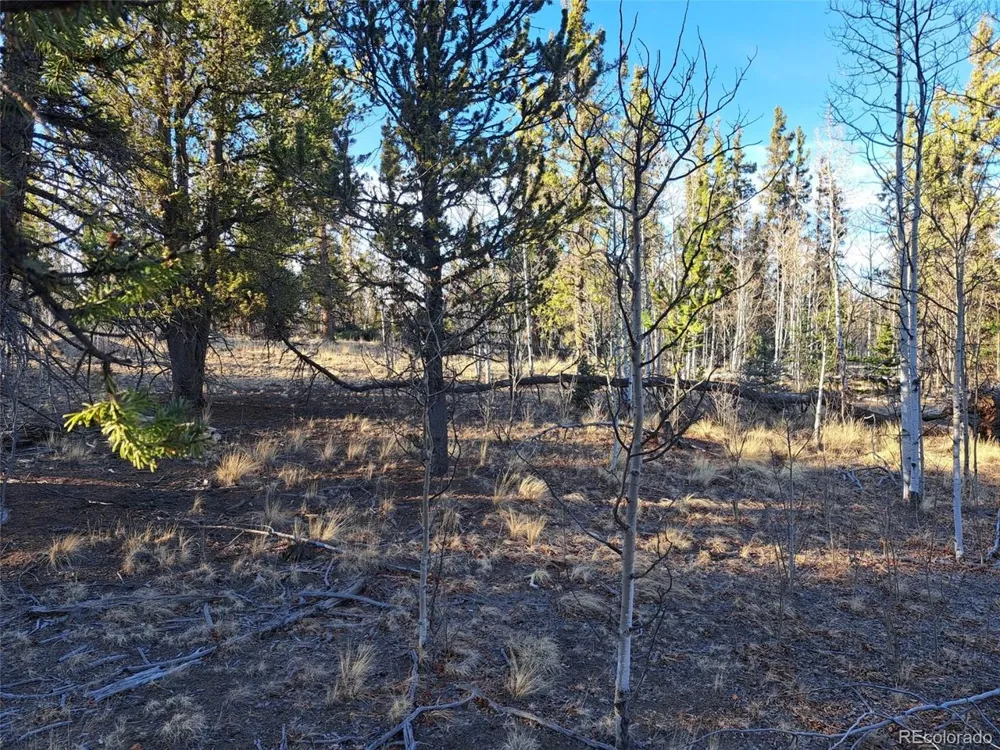 1645 Chippewa Road Como, CO 80432