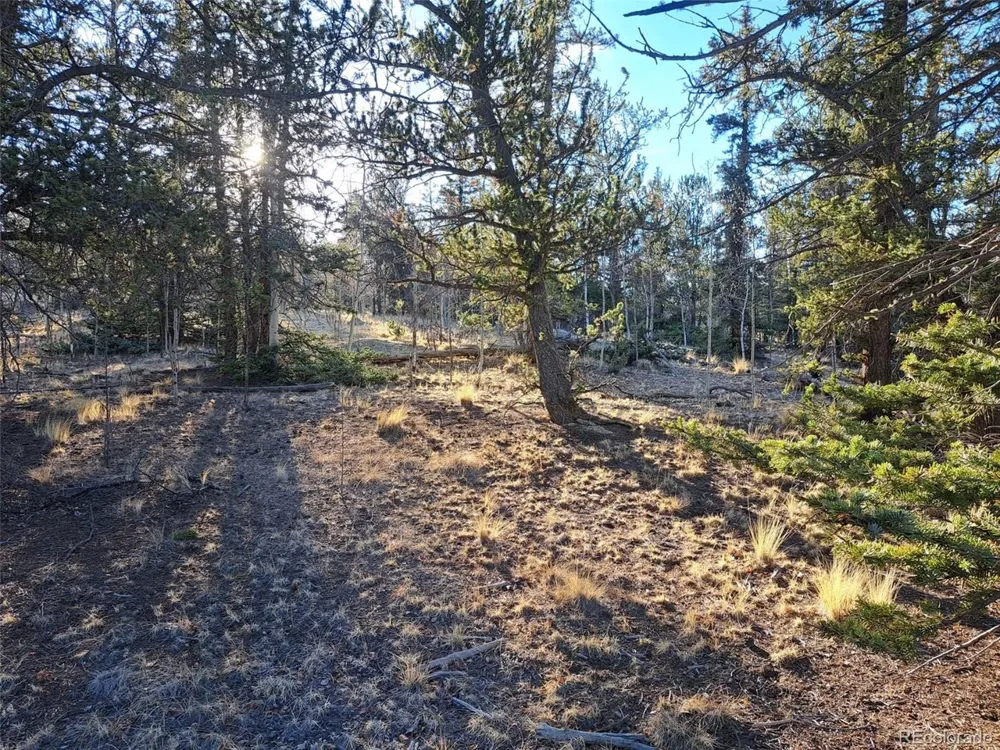 1645 Chippewa Road Como, CO 80432
