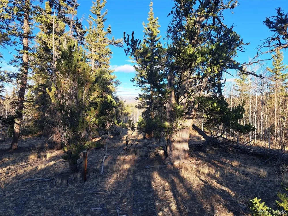 1645 Chippewa Road Como, CO 80432