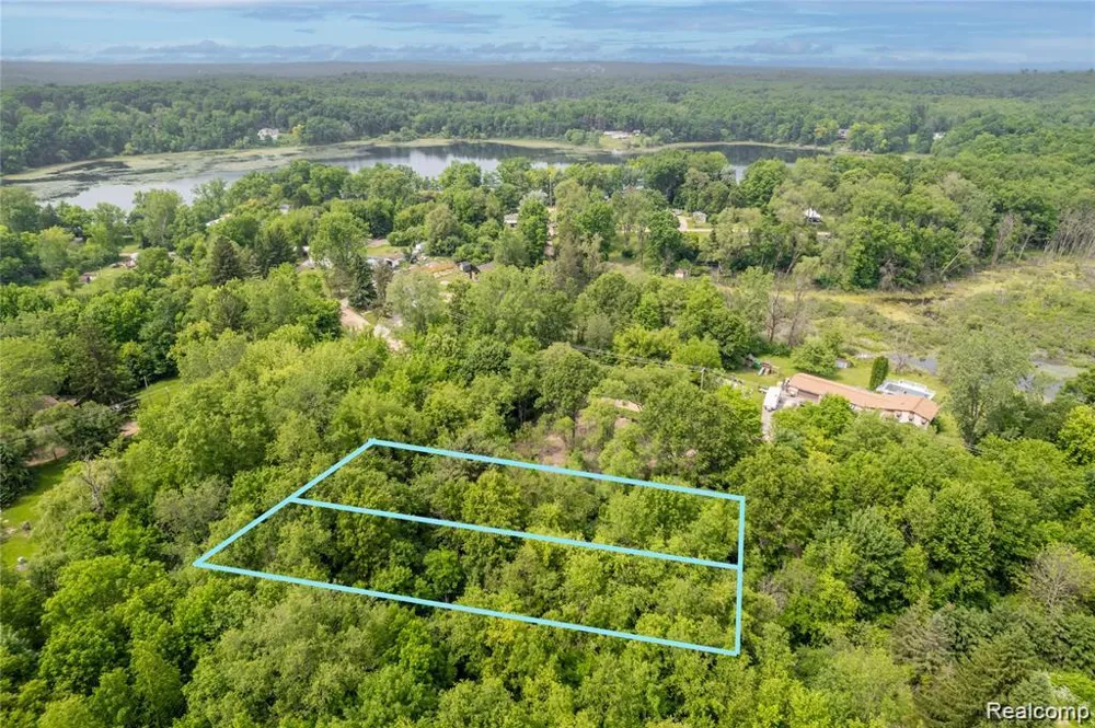 Birchwood Drive Holly Township, MI 48442