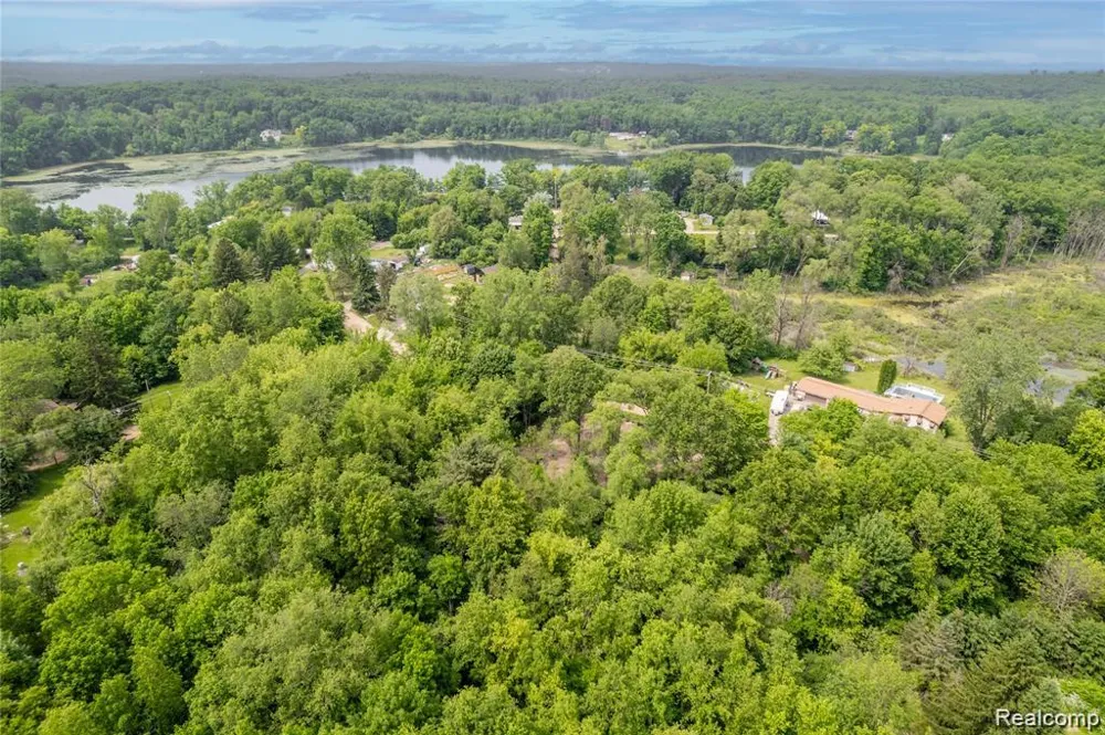 Birchwood Drive Holly Township, MI 48442