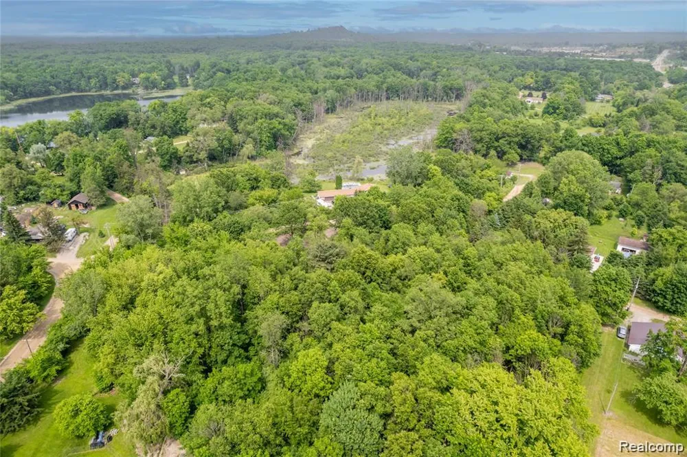 Birchwood Drive Holly Township, MI 48442
