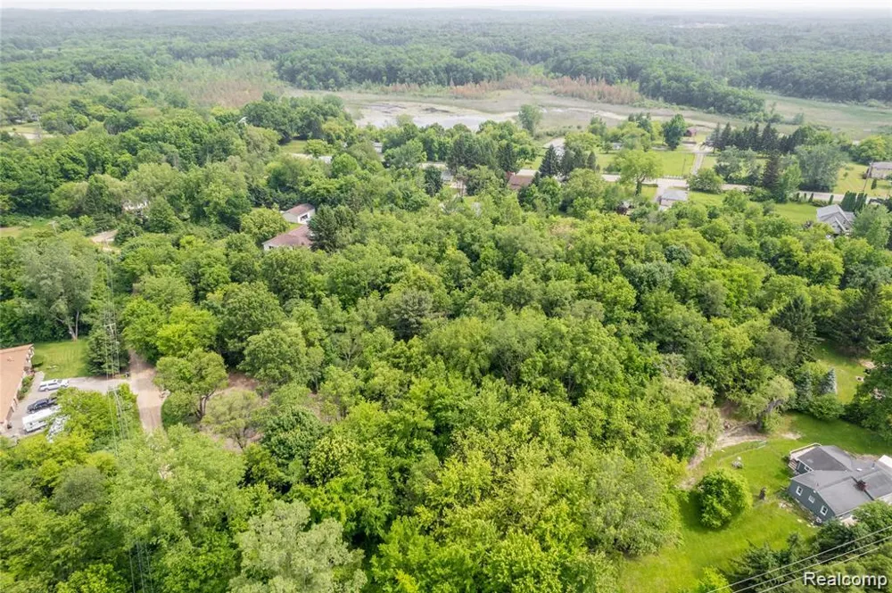 Birchwood Drive Holly Township, MI 48442