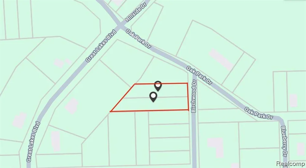 Birchwood Drive Holly Township, MI 48442