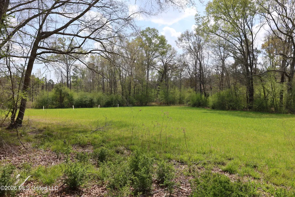 3194 James Road Hazlehurst, MS 39083