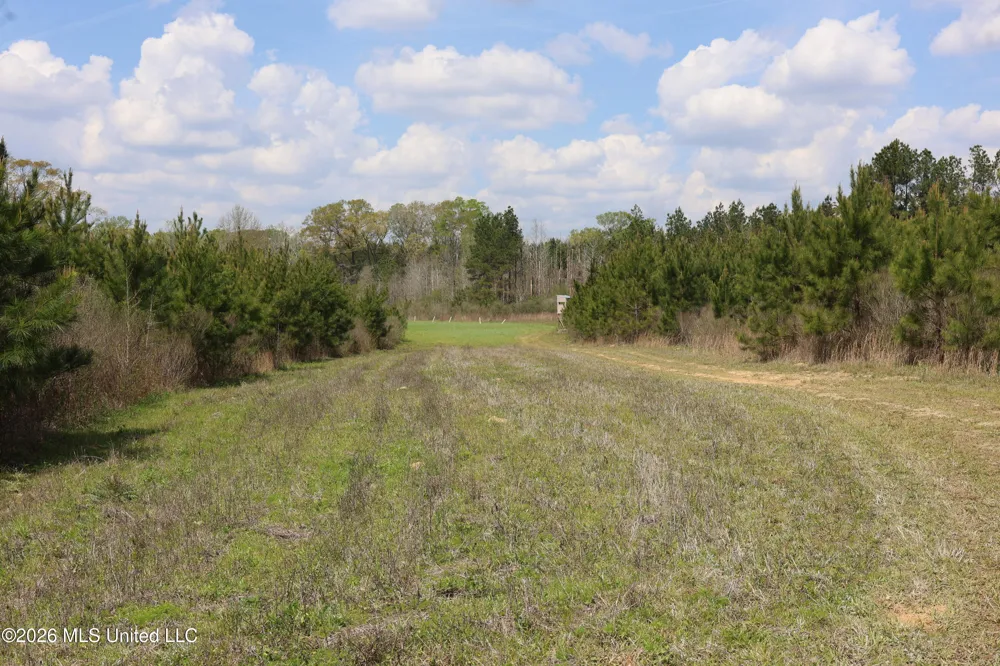 3194 James Road Hazlehurst, MS 39083