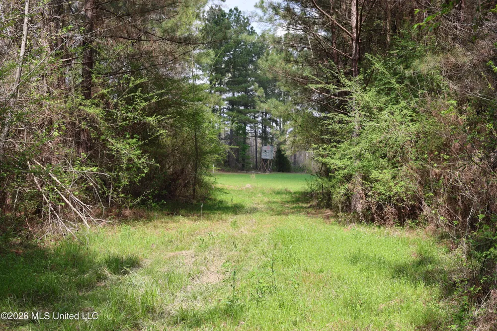 3194 James Road Hazlehurst, MS 39083