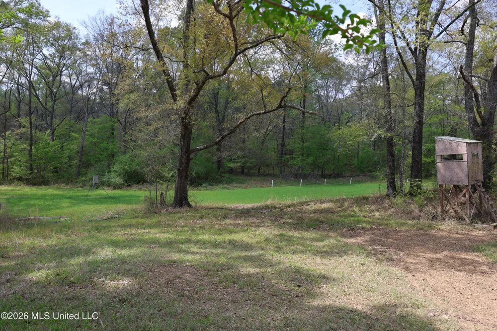 3194 James Road Hazlehurst, MS 39083