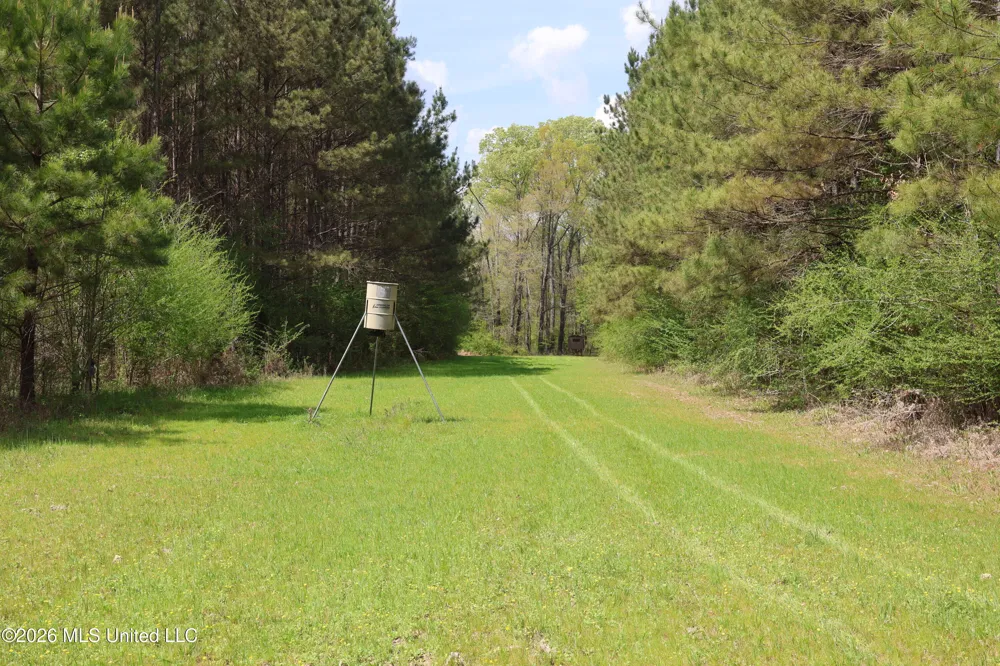 3194 James Road Hazlehurst, MS 39083