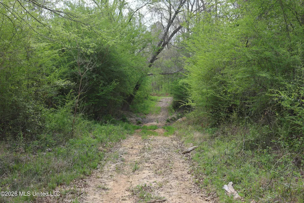 3194 James Road Hazlehurst, MS 39083