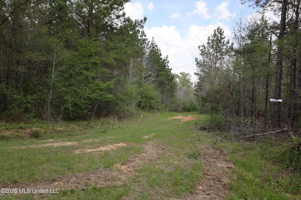 3194 James Road Hazlehurst, MS 39083