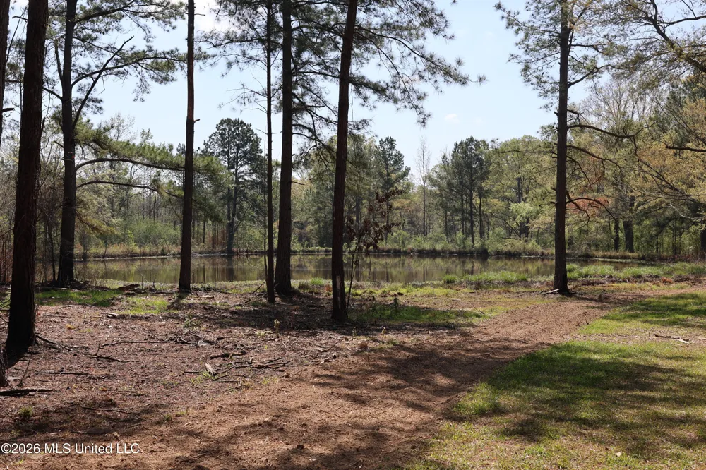 3194 James Road Hazlehurst, MS 39083