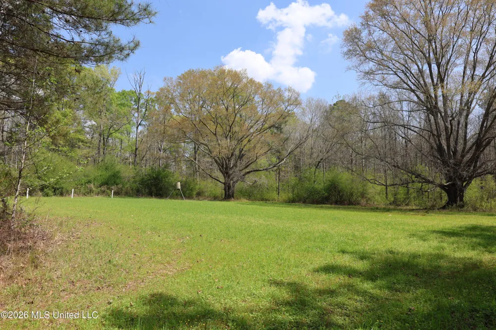 3194 James Road Hazlehurst, MS 39083