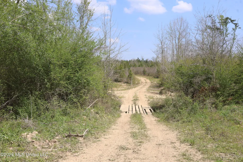 3194 James Road Hazlehurst, MS 39083