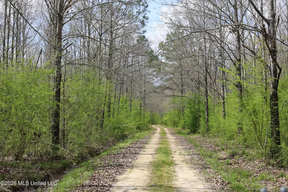 3194 James Road Hazlehurst, MS 39083