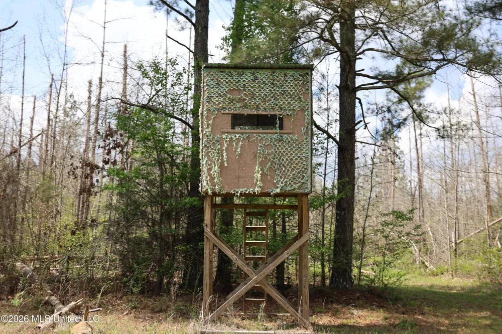 3194 James Road Hazlehurst, MS 39083