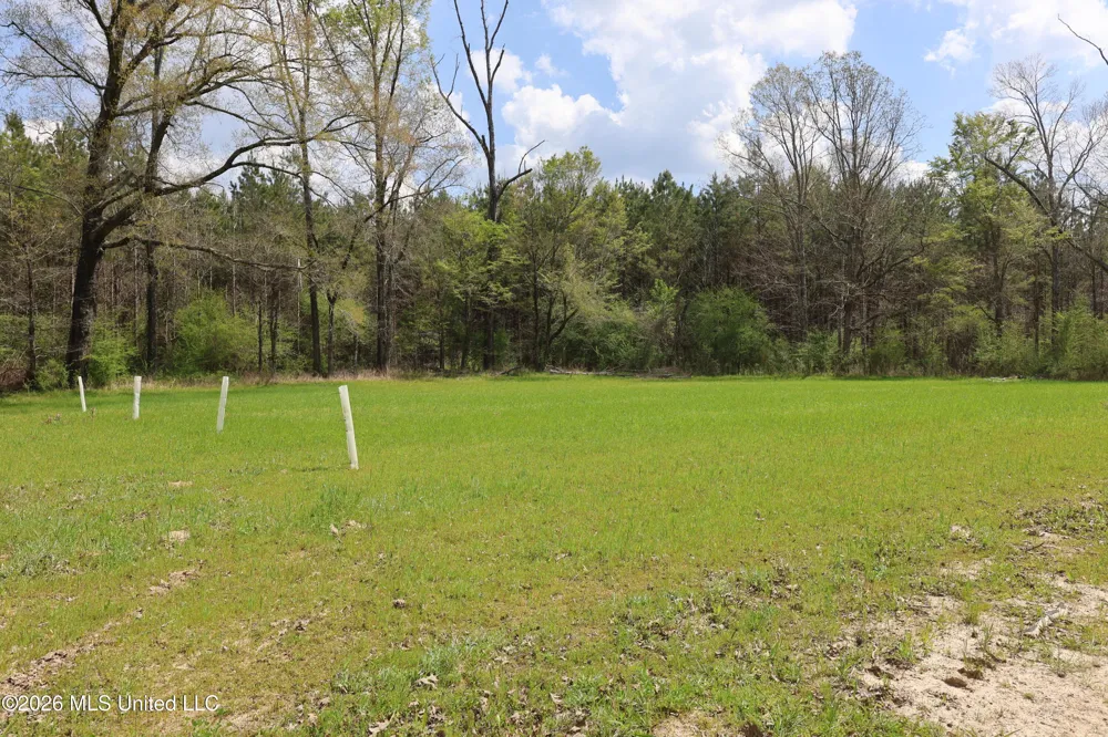 3194 James Road Hazlehurst, MS 39083