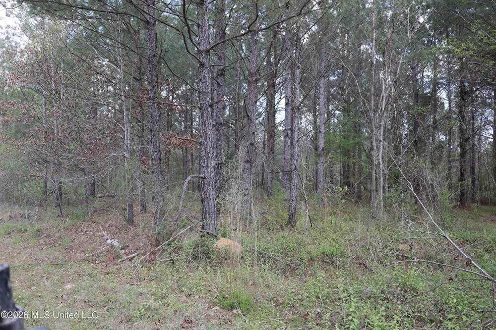 3194 James Road Hazlehurst, MS 39083