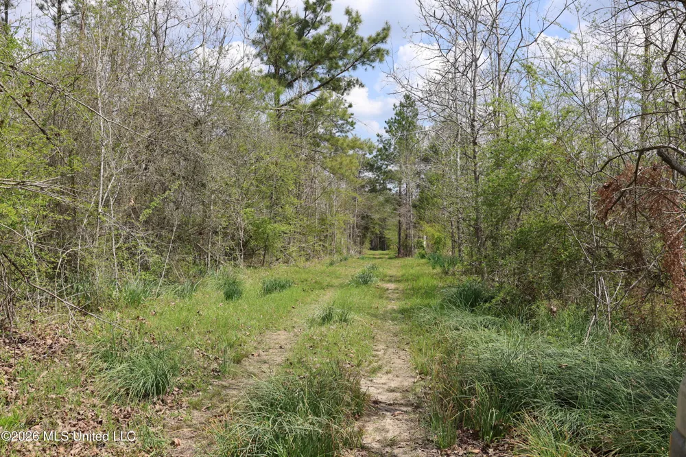 3194 James Road Hazlehurst, MS 39083