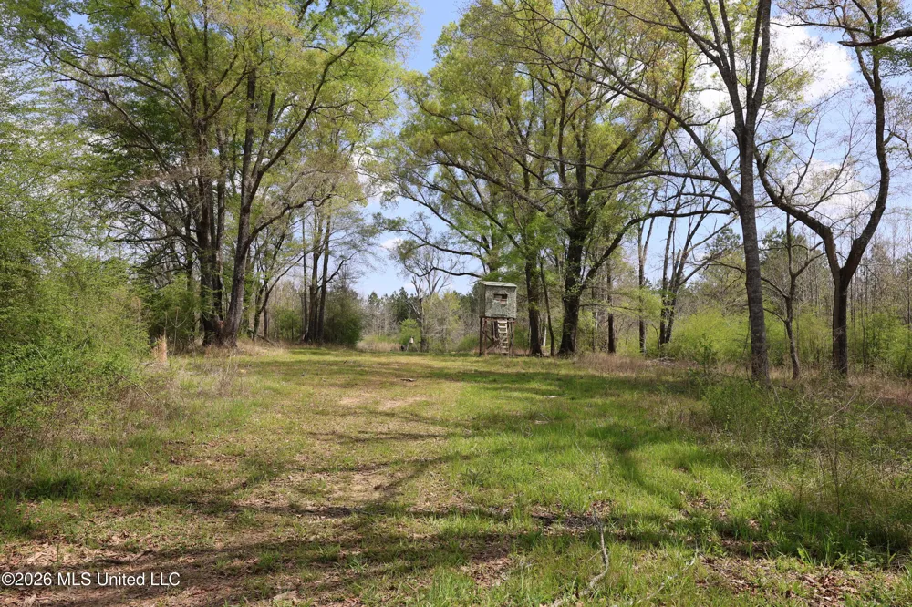 3194 James Road Hazlehurst, MS 39083