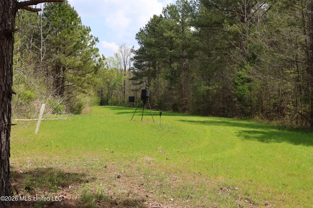 3194 James Road Hazlehurst, MS 39083