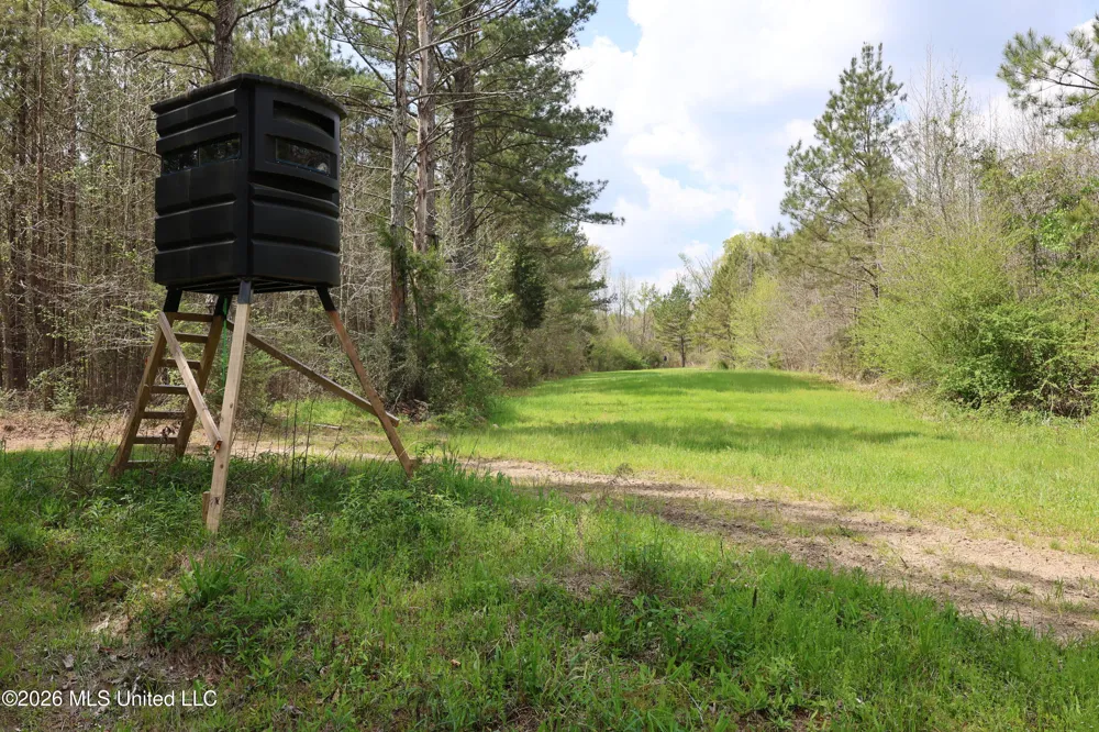 3194 James Road Hazlehurst, MS 39083