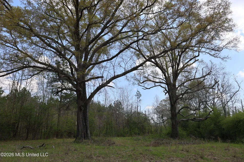 3194 James Road Hazlehurst, MS 39083