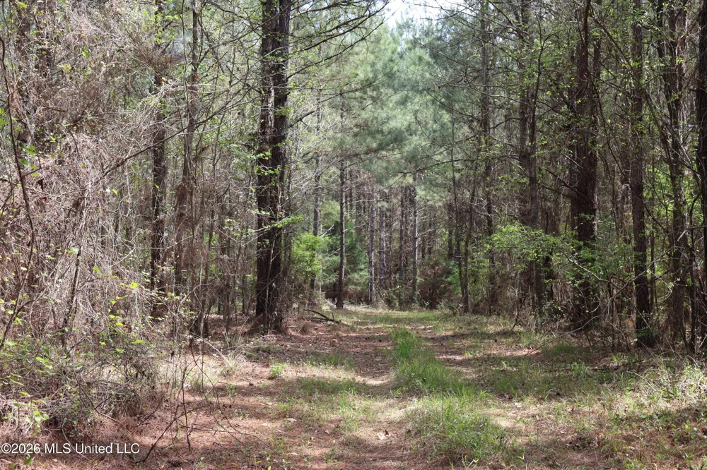 3194 James Road Hazlehurst, MS 39083