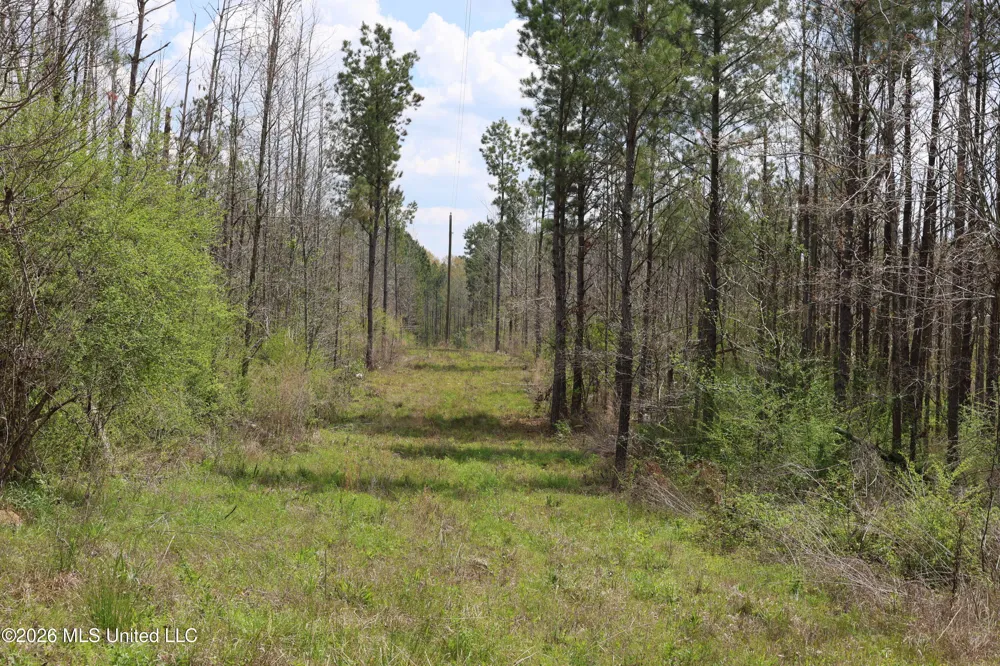 3194 James Road Hazlehurst, MS 39083