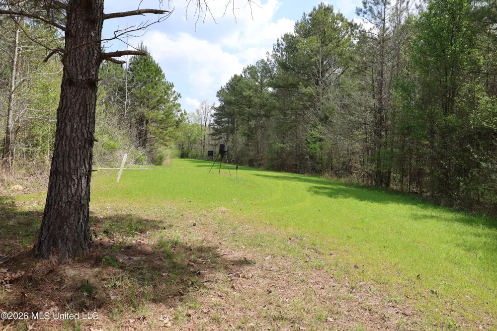 3194 James Road Hazlehurst, MS 39083