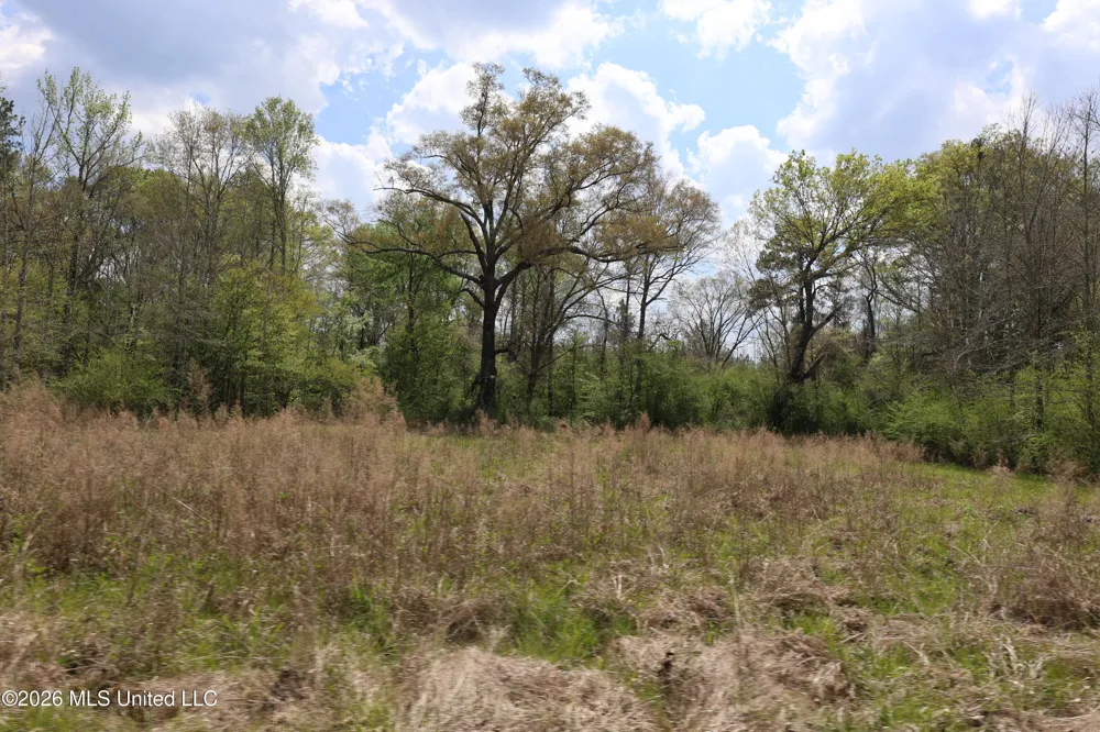3194 James Road Hazlehurst, MS 39083